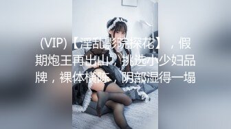 (VIP)【淫乱影院探花】，假期炮王再出山，挑选小少妇品牌，裸体横陈，阴部湿得一塌