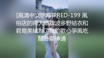 [高清中文字幕]PRED-199 風俗店的兩大頭牌波多野結衣和君島美緒為了我的歡心爭風吃醋各顯神通