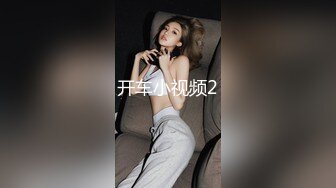 开车小视频2