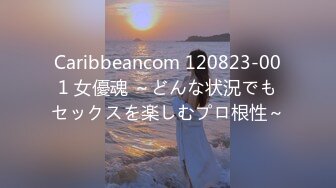 Caribbeancom 120823-001 女優魂 ～どんな状況でもセックスを楽しむプロ根性～