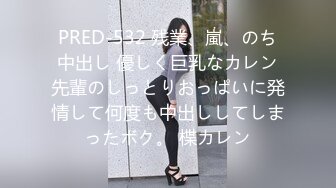 PRED-532 残業、嵐、のち中出し 優しく巨乳なカレン先輩のしっとりおっぱいに発情して何度も中出ししてしまったボク。 楪カレン