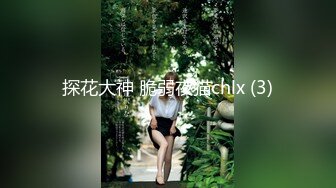 探花大神 脆弱夜猫chlx (3)