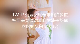 TWTP 公园女厕全景偷拍多位极品美女嘘嘘裹胸裙妹子整理衣服奶又白又大 (3)