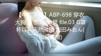 【中文字幕】ABP-698 穿衣大胸 妄想3次做愛 file.03 G罩杯巨乳天然降臨 園田みおん(園田美櫻)