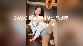 SWAG 性感番拼梦幻马戏团拼图 Minicat